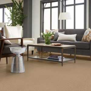 Living room Carpet flooring | CarpetsPlus COLORTILE of Hutchinson