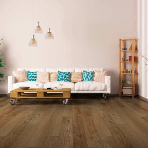 Vinyl flooring for living room | CarpetsPlus COLORTILE of Hutchinson